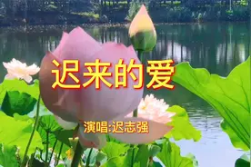 迟志强一首情深意切《迟来的爱》引起无数人回忆视频封面
