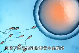 同房后倒立，可以增加怀孕的几率？听听生殖医生怎么说视频封面