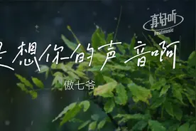 傲七爷 - 是想你的声音啊【完整版】动态歌词 你快听 滴答滴