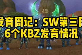 老雷发育周记：SW第三周视频封面