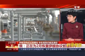 俄罗斯：正在为2月恢复伊核协议创造条件|环球视线视频封面