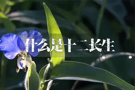 古代人，在进行预测的时候，所说的长生沐浴是有什么寓意视频封面