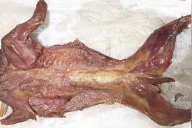 乡里烟熏兔子肉吃过吗？做一碗腊味合蒸，肉质细嫩，香辣开胃！视频封面