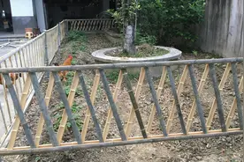 有院子，农村小伙用竹子做围栏，简单好看还不花钱视频封面