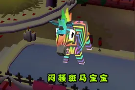 疯狂动物园 驯服七彩斑斓的“闷骚斑马”，配对产下闷骚斑马宝宝视频封面