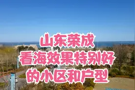 山东荣成 一线海景房 非常稀缺的户型相信很多人没看过这个户型视频封面