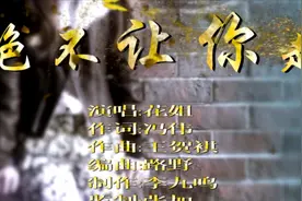 花姐-绝不让你走-KTV视频封面