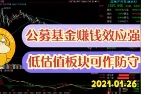 公募基金赚钱效应强，低估值板块可作防守 2021.1.26大可每日复盘视频封面