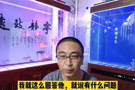 兰寿金鱼极度消瘦、腹部鳞片脱落，会有哪些原因？视频封面