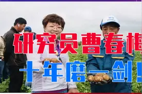 研究员曹春梅，十年磨一剑！研究“种子芯片”不让美国卡脖子视频封面