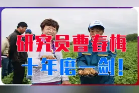 研究员曹春梅，十年磨一剑！研究“种子芯片”不让美国卡脖子视频封面