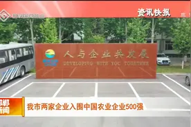 邯郸市两家企业入围中国农业企业500强视频封面