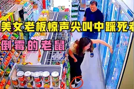 监控下搞笑的一幕，美女老板勇踩老鼠，惊恐尖叫中解救自己！视频封面