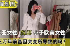平胸缘由：东亚女性胸部小于欧美女性，真的是由基因决定的吗？视频封面