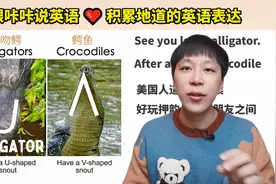 “兔子”的英文到底是rabbit还是hare视频封面