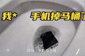 早晨起床先上厕所，一不小心手机掉马桶了，捞出来屏幕乱跳有水印视频封面