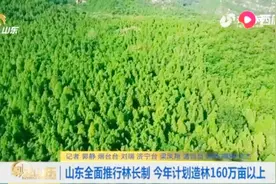 建立“五级”林长制体系，真正实现山有人管、树有人护、责有人担视频封面