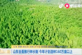 建立“五级”林长制体系，真正实现山有人管、树有人护、责有人担视频封面