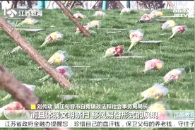 别样清明一样情！代祭扫云祭扫，绿色殡葬蔚然成风视频封面
