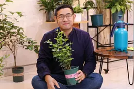 茉莉花怎么养？园艺师教你，茉莉花的详细养护技巧视频封面