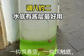 水底淤泥太深，选用调8目钓2目用这种钓法，看看水底饵料情况。
