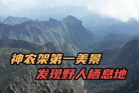 神农架第一美景，神农顶，发现野人栖息地视频封面