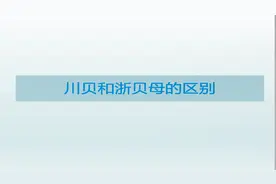 如何有效区别川贝母和浙贝母的功效和临床应用视频封面