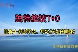 独特的T+0技巧，十分钟教你掌握，让你的利润每天2%的复利增长。视频封面