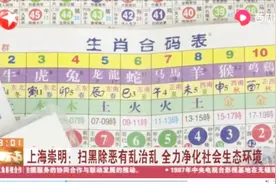 私下开赌场敛钱财！上海崇明扫黑除恶有乱治乱，25名嫌疑人被判刑视频封面