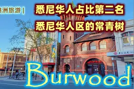 澳洲旅游，悉尼八大华人区系列视频，第一集，burwood, 悉尼生活视频封面