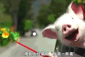 你了解“分我一杯羹”背后的故事吗？原来他是这样的刘邦。视频封面