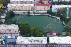 云日相晖映，空水共澄鲜！乍暖还寒时，济南无影潭边热闹不减视频封面