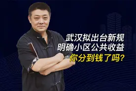 武汉拟出台新规明确小区公共收益，你分到钱了吗?视频封面