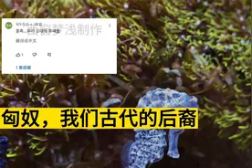 韩国网友热议匈牙利：匈牙利的祖先是匈奴，匈奴是古朝鲜的后裔视频封面