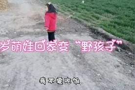 3岁萌娃回老家变成“野孩子” 妈妈让回家？闺女一脸傲娇转身就走视频封面