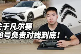 关于凡尔赛 38号负责对线到底视频封面