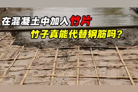 用竹子代替钢筋？盖房子的混凝土里加入竹片，真的能住人吗？视频封面