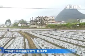 广东迎下半年最强冷空气 局部人工增雨缓解旱情视频封面