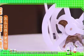 家庭实验室亲子科学探究活动（一年级）1-1-1视频封面