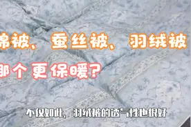 棉被、蚕丝被、羽绒被哪个更保暖？听内行人说完，才知我家选错了视频封面