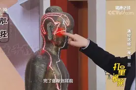 胆经在我们身体的哪里？情绪不好会导致胆经不畅|健康之路视频封面