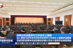 安徽省委农村工作会议在合肥召开 郑栅洁出席并讲话视频封面