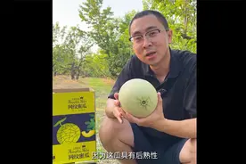 网纹瓜收到后建议放2天左右在吃，更甜，更糯！