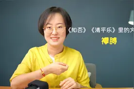 《知否》《清平乐》里的文化常识：襻膊视频封面