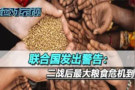 农田变战场后，乌粮食产量腰斩，全球面临粮荒，美国却仍不愿收手视频封面