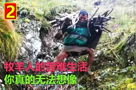 牧羊人的迁徙生活，苦到你不敢想像，重要是缺少衣服。视频封面