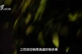 制作青砖茶的成熟工艺视频封面