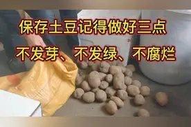 每年都用这个方法保存土豆，放半年也不发芽、不发绿，效果真好视频封面