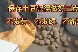 每年都用这个方法保存土豆，放半年也不发芽、不发绿，效果真好视频封面