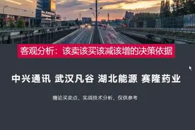 中兴通讯 武汉凡谷 湖北能源 赛隆药业  客观点评 实战分析视频封面